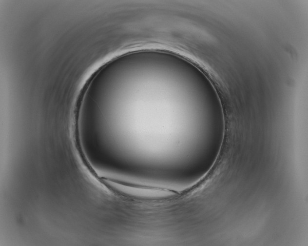 X0000111131518200906301159