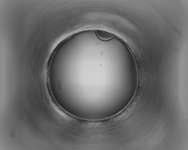 X0000111131519200906301159