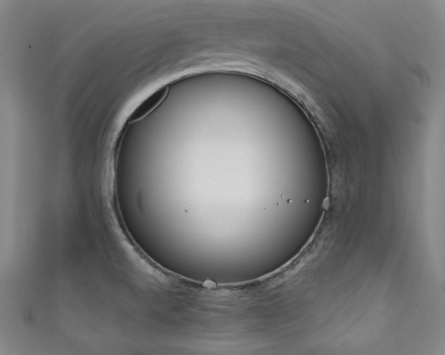 X0000111131520200906301159