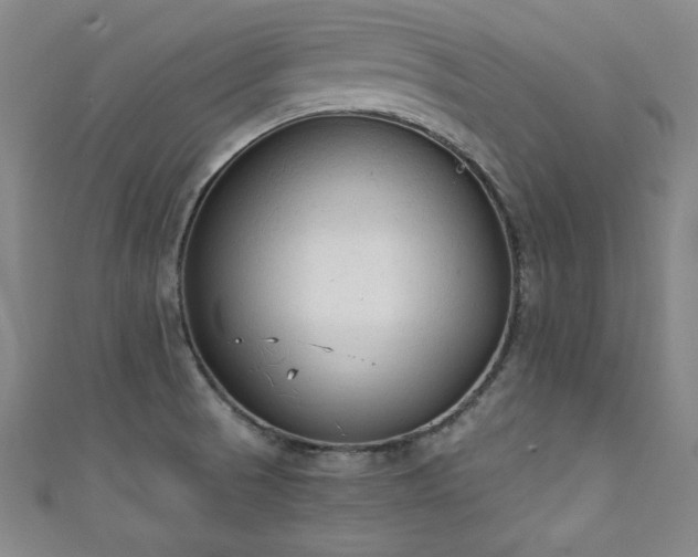 X0000111131521200906301159