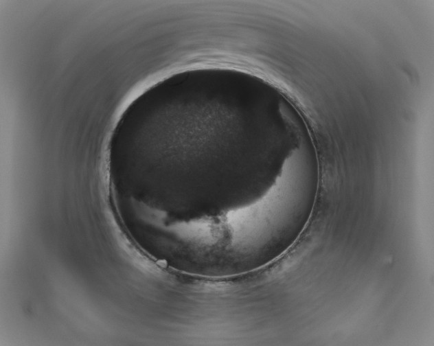 X0000111131522200906301159