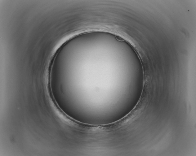 X0000111131523200906301159