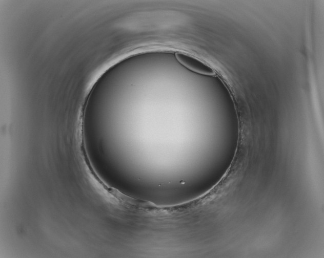 X0000111131524200906301159