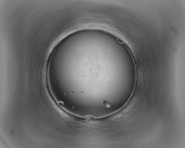 X0000111131525200906301159