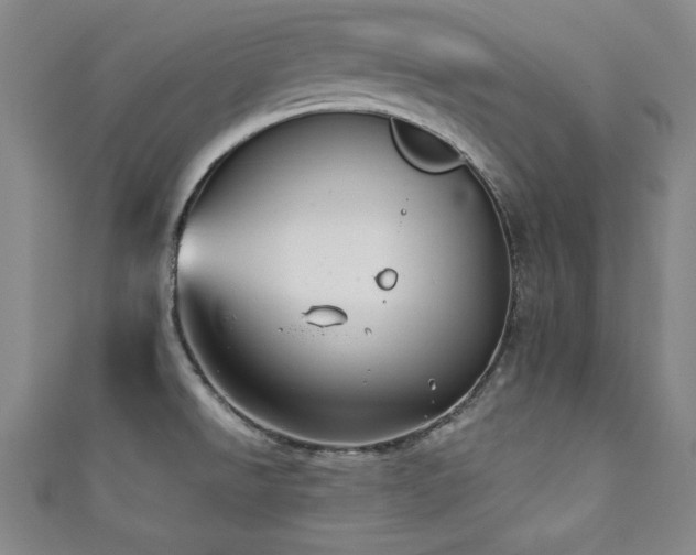 X0000111131526200906301159