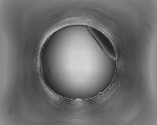 X0000111131528200906301159