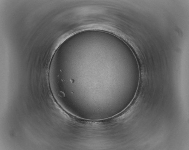 X0000111131529200906301159