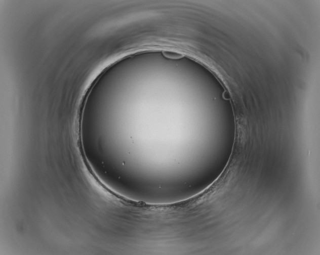 X0000111131531200906301159