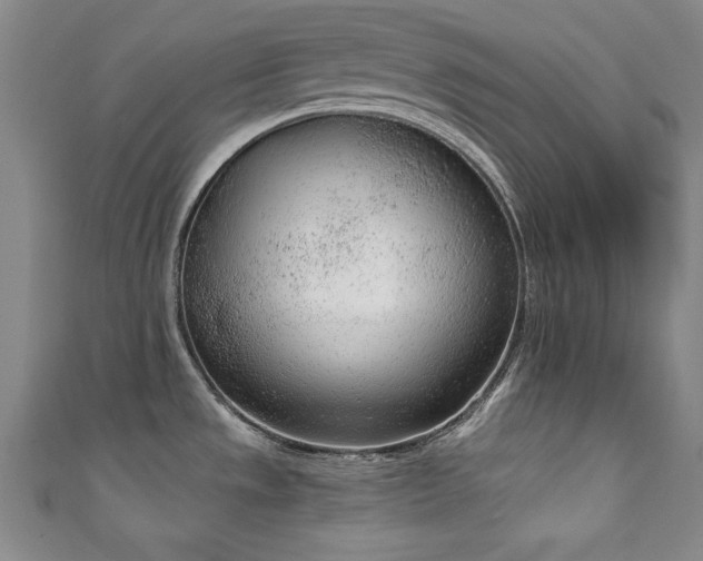 X0000111131533200906301159