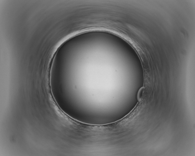 X0000111131534200906301159