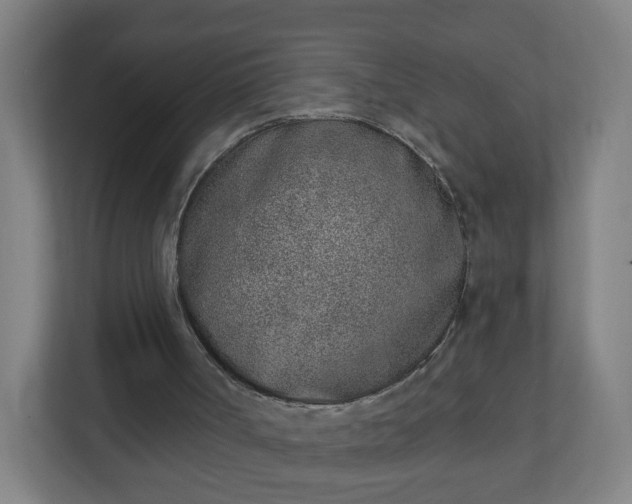 X0000111130002200907071027