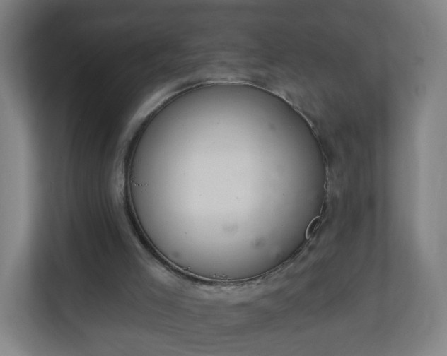 X0000111130005200907071027