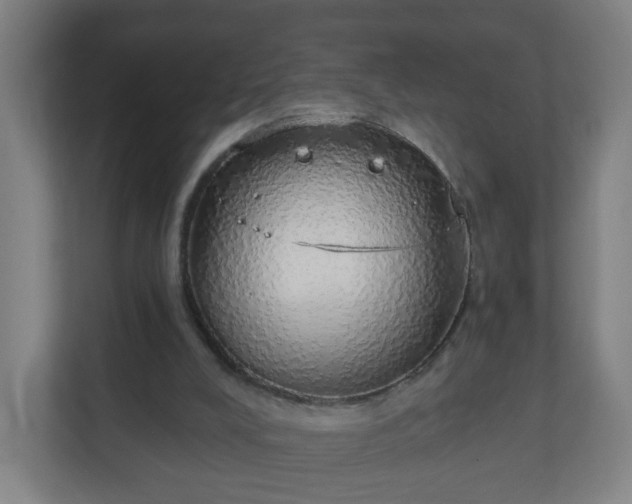 X0000111130008200907071027