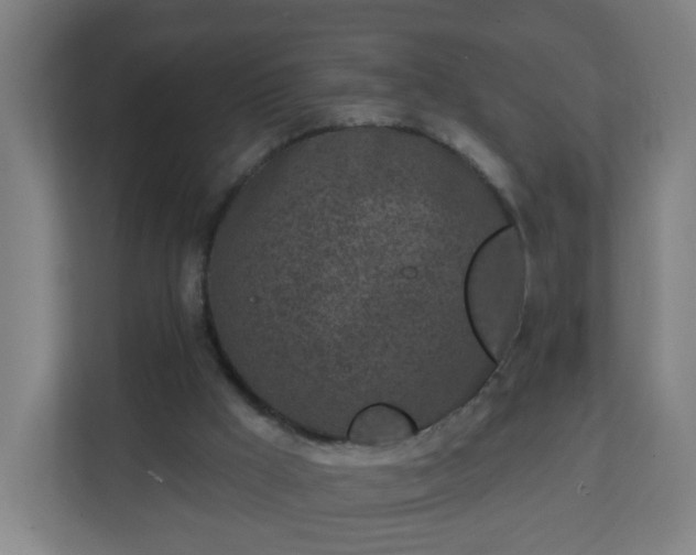 X0000111130009200907071027