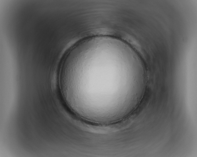X0000111130012200907071027