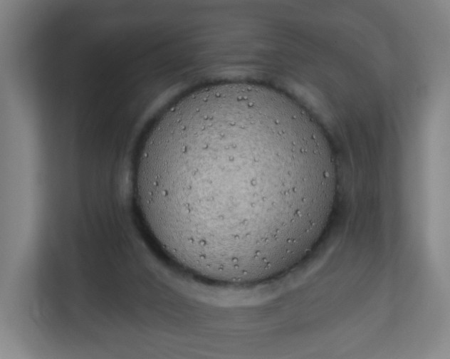 X0000111130016200907071027