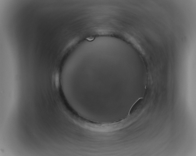 X0000111130019200907071027
