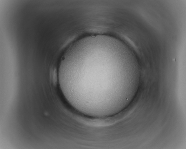 X0000111130020200907071027
