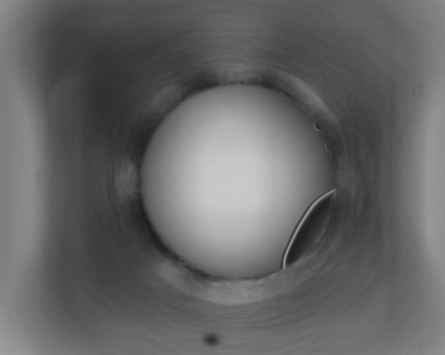 X0000111130025200907071026