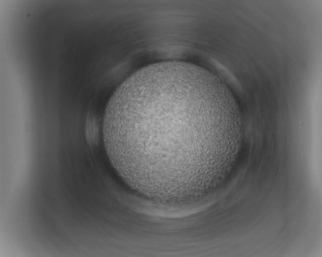 X0000111130026200907071026