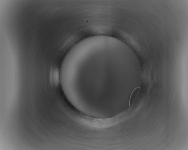 X0000111130027200907071026