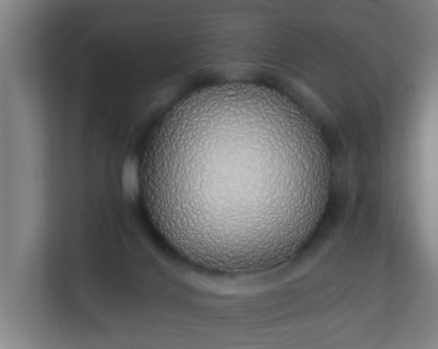 X0000111130028200907071026
