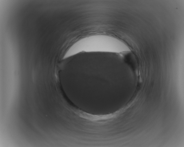 X0000111130035200907071026