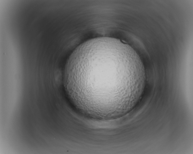 X0000111130036200907071026