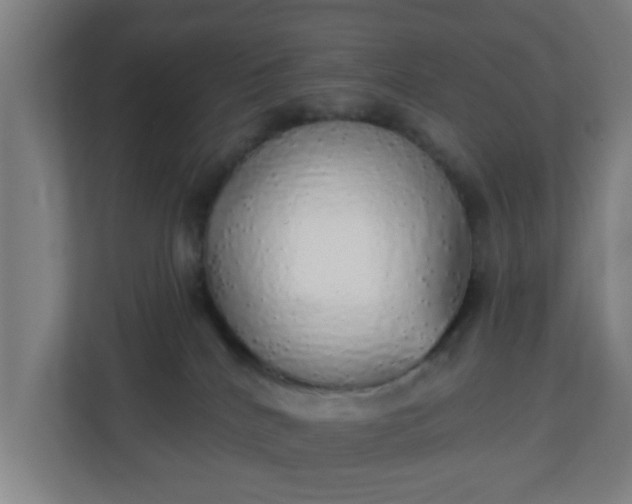 X0000111130040200907071026