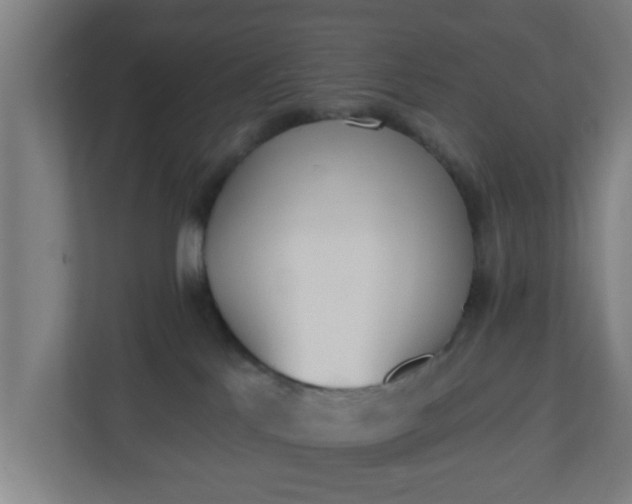 X0000111130041200907071026