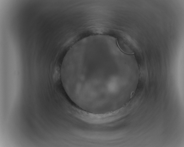 X0000111130043200907071026