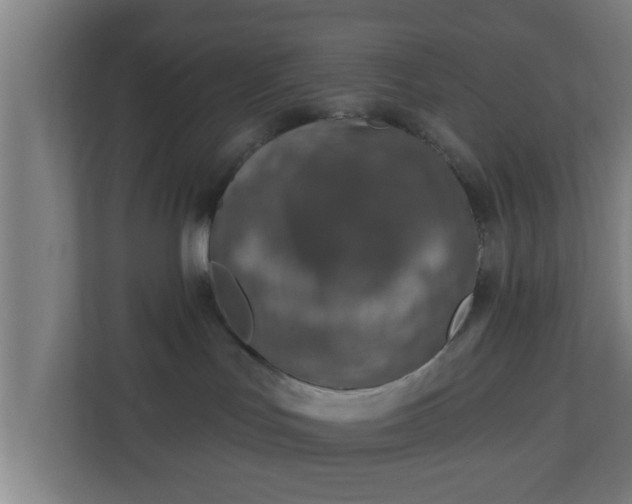 X0000111130047200907071026