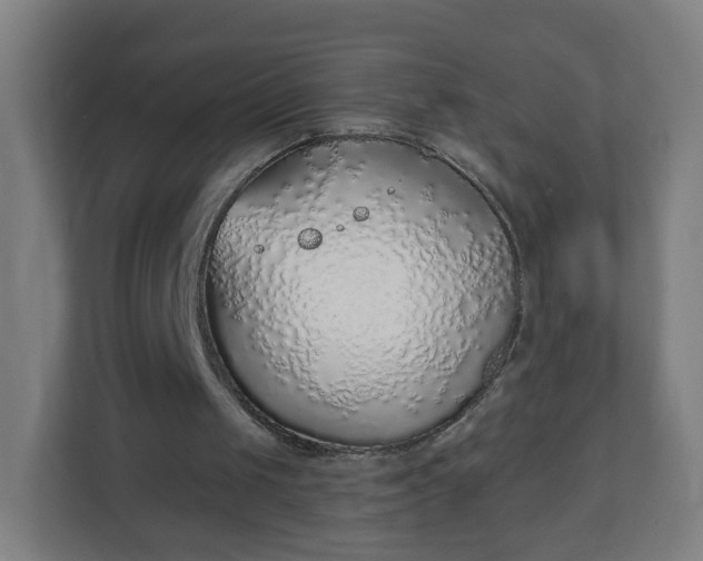 X0000111130049200907071026