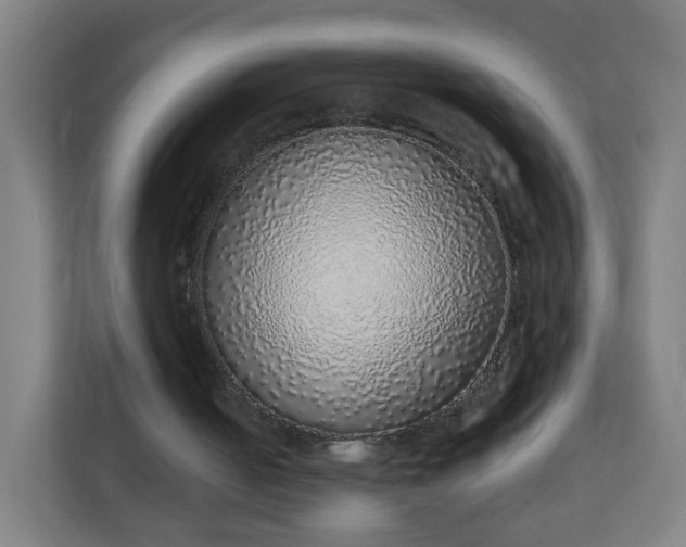 X0000111130050200907071026