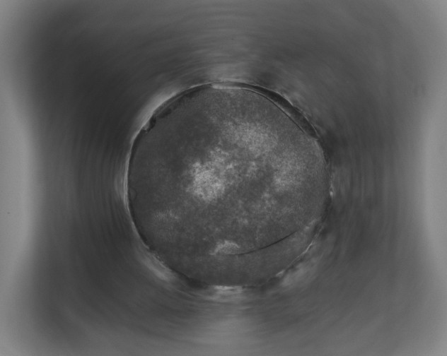 X0000111130052200907071026