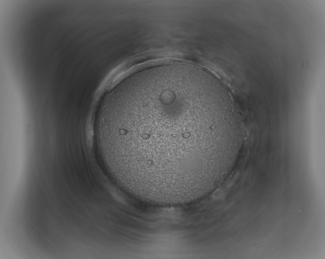 X0000111130053200907071026