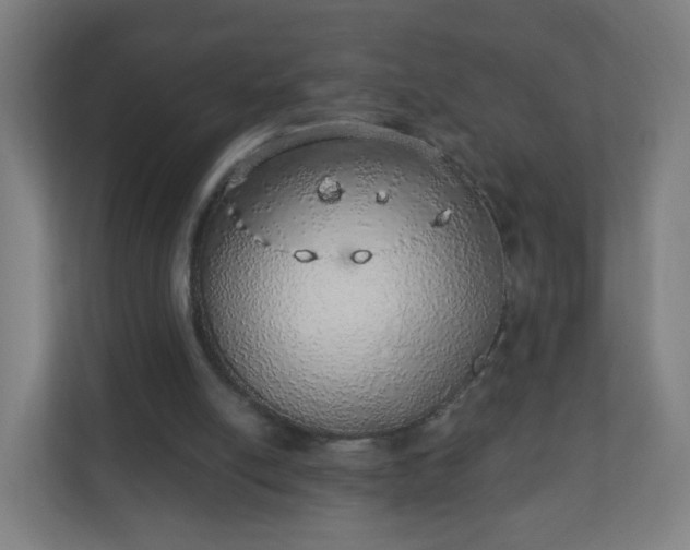 X0000111130054200907071026