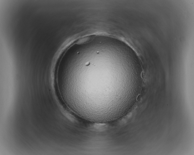 X0000111130055200907071026