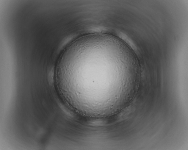 X0000111130058200907071026