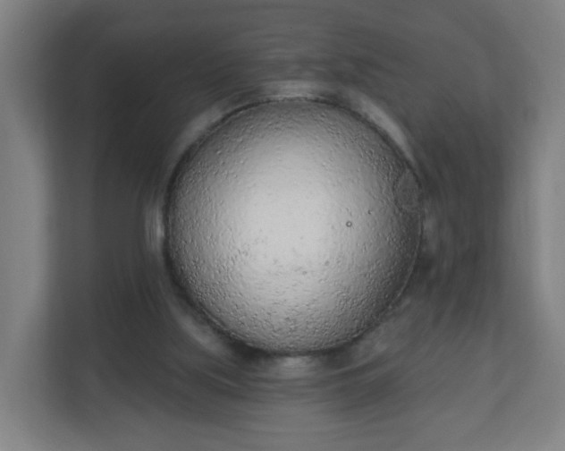X0000111130059200907071026