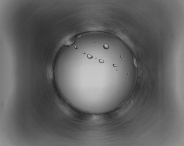 X0000111130060200907071026