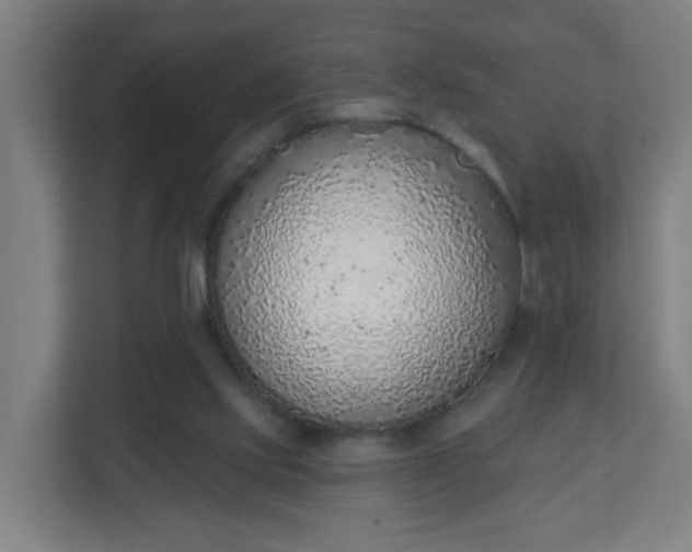 X0000111130061200907071026