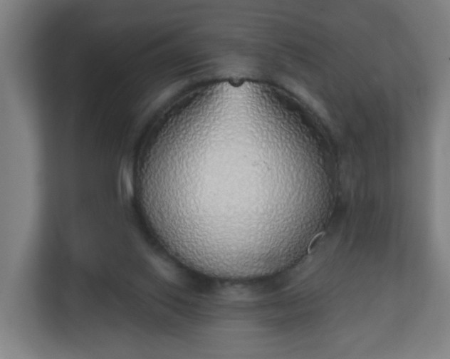 X0000111130062200907071026