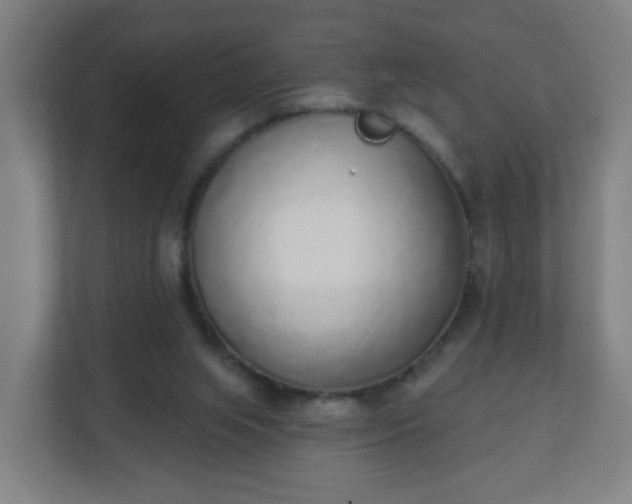 X0000111130063200907071026
