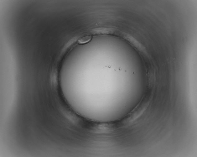 X0000111130064200907071026