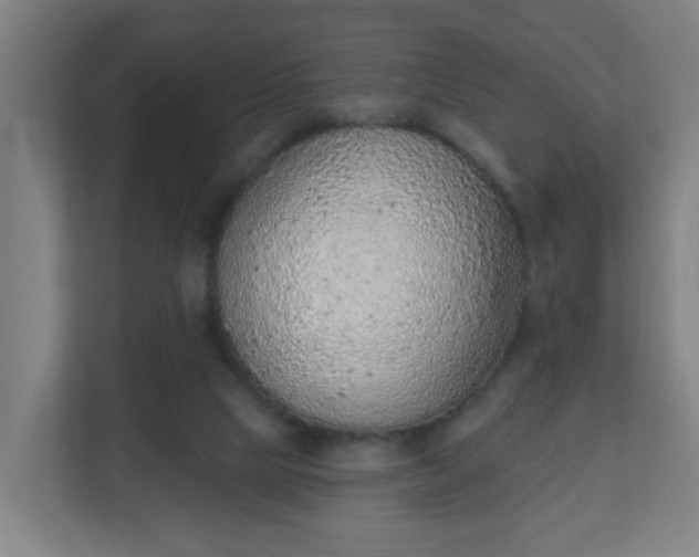 X0000111130065200907071026