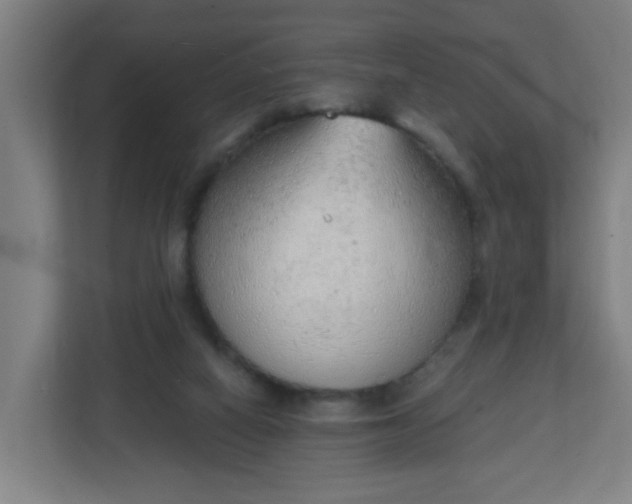 X0000111130066200907071026