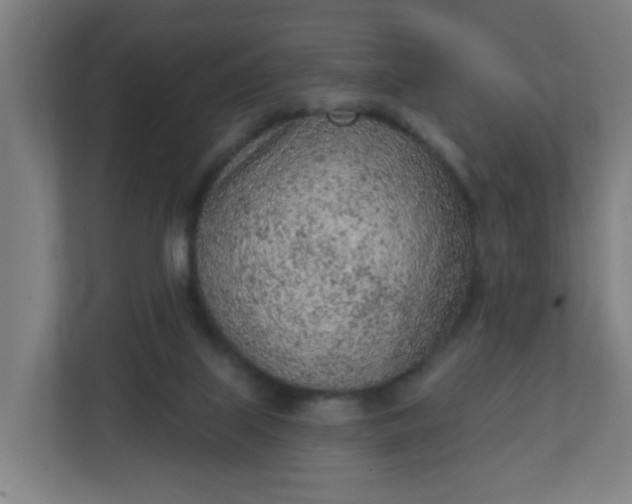 X0000111130067200907071026