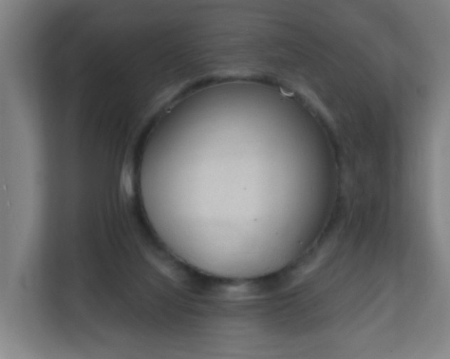 X0000111130068200907071026