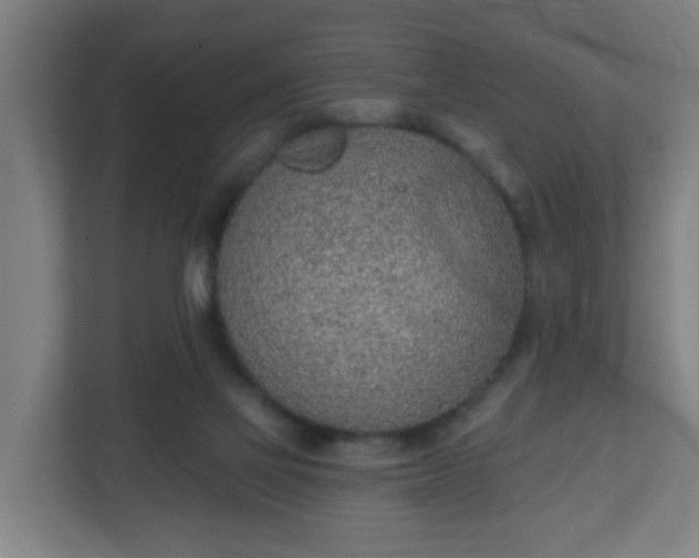 X0000111130069200907071026